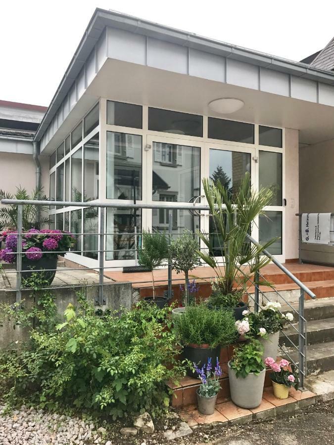 Apartment Kandern Εξωτερικό φωτογραφία